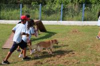 Parco  inaugurado na Unidade de Acolhimento Provisrio de Animais (UAPA) de Itaja 