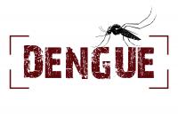 Dengue: Agentes de endemias fazem levantamento no municpio