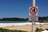 Placas proibindo animais na areia so instaladas nas praias de Itaja