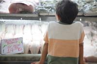 Vigilncia Sanitria d dicas para escolher o pescado na Semana Santa