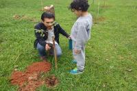 Alunos do CEDIN Emlio Gazaniga Junior realizam plantio de mudas de rvores