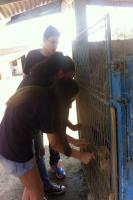 Alunos do Colgio Fayal visitam Unidade de Acolhimento Provisrio de Animais