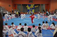 Mega Open Internacional Taekwondo Championship rene mais de 700 atletas em Itaja