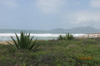 Recuperao ambiental da restinga da Praia Brava inicia na prxima semana