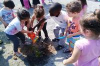 Crianas plantam rvores frutferas em escola