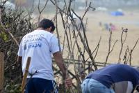 Famai inicia recuperao ambiental da restinga da Praia Brava 