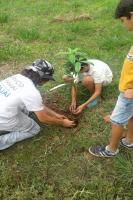 Alunos da Escola Maria do Carmo Vieira realizam plantio de rvores nativas