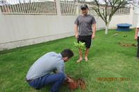 FAMAI realiza plantio da campanha Adote uma rvore