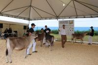 24 Expofeira Agropecuria apresenta mais de 500 animais na Festa do Colono