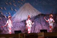 Festa celebra os 110 anos da imigrao japonesa no Brasil