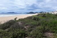 Municpio de Itaja monta estratgia para combater escorpies na Praia Brava